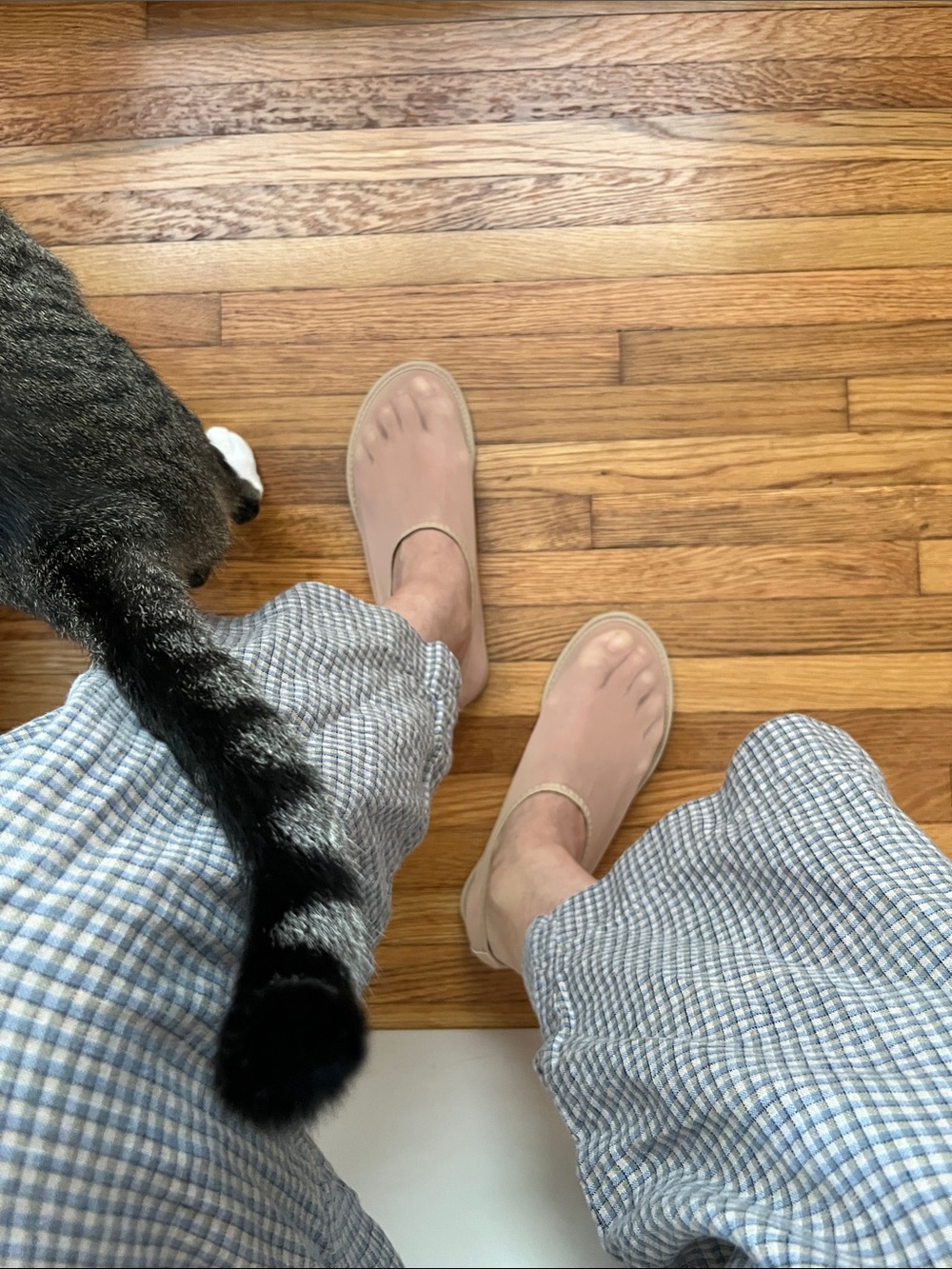 Mesh Ballerina Flats